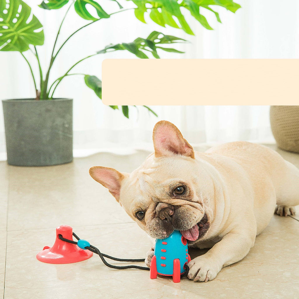Rocket Dog Toys for Food Dispensing and Chewing