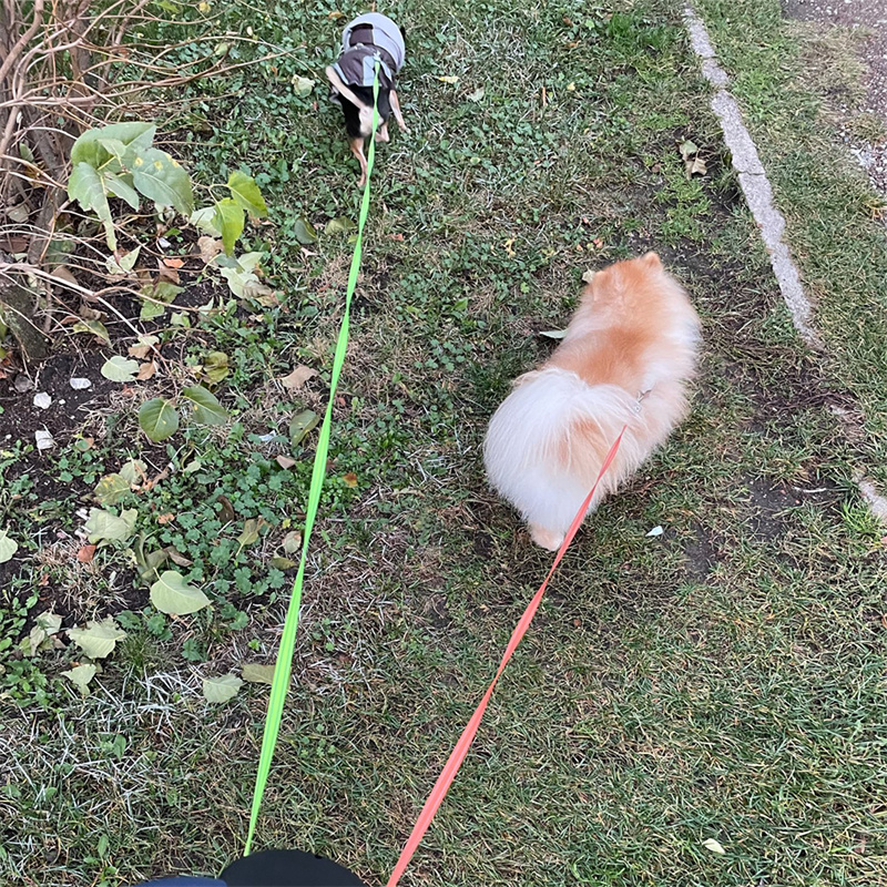 Retractable Dual Dog Leash with Reflective Feature and Flashlight